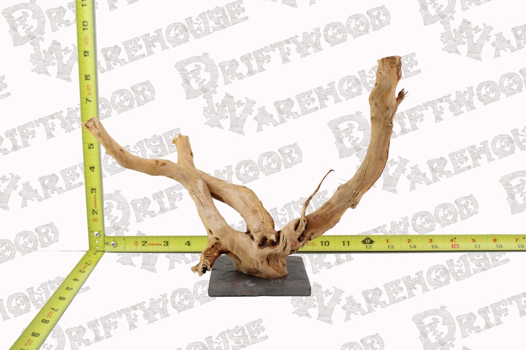 Aquarium Spiderwood Driftwood Mounted Slate Fish Sinking Medium Large