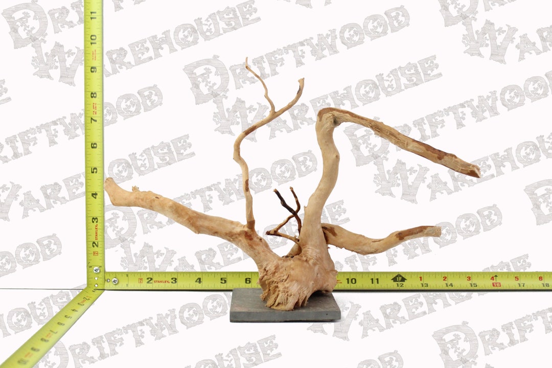 Aquarium Spiderwood Driftwood Mounted Slate Fish Sinking Large Medium