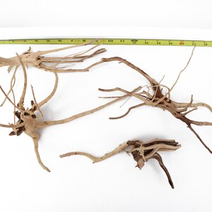 Driftwood Branch Spiderwood 4 Piece Lot Aquarium Decoration Hardscape Kit Sinking Root Small Arts & Crafts Home Decor Fish Wood WYSIWYG image 10