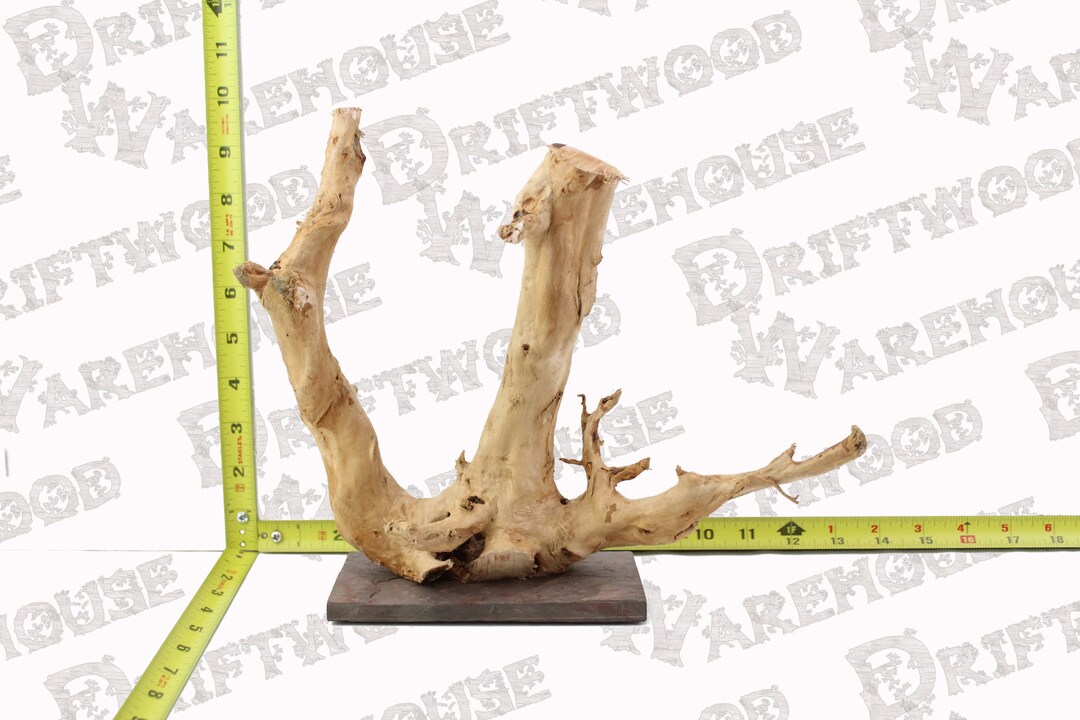 Aquarium Spiderwood Driftwood Mounted Slate Fish Sinking Large Etsy