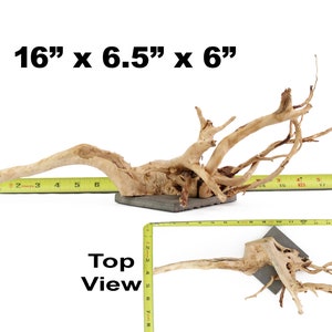 Aquarium SpiderWood Driftwood Mounted Slate Fish Sinking Large Medium Natural Branch Root Home Decor WYSIWYG : 16&quot; x 6.5&quot; x 6&quot;