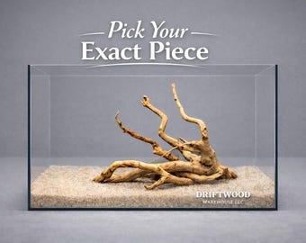 Medium Spiderwood Aquarium Driftwood | Natural Branchy Aquascape Wood | WYSIWYG Fish Tank Centerpiece | Terrarium Decor | Pick Your Piece