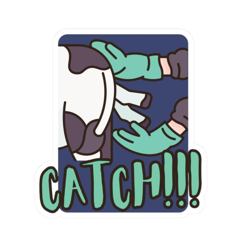 Catch!!! - Kiss-cut Stickers Dog, Vet Tech, Veterinary, Large Animal ...