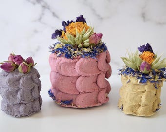 Hoppy Birthday Cake | Rabbits, Guinea Pigs, Chinchillas, Hamsters, & Other Small Pets