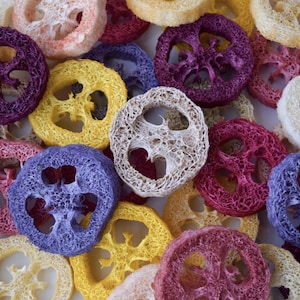 Può includere: Una collezione di fette circolari di luffa in vari colori, tra cui viola, giallo, rosa e beige naturale. Ogni pezzo presenta una consistenza fibrosa e porosa con una distinta apertura centrale, disposti in un gruppo denso e sovrapposto.