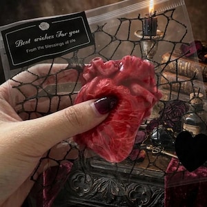 May include: A realistic anatomical heart model in a clear plastic bag featuring a black spiderweb pattern and a label that reads Best wishes For you From the blessings of life. The heart is deep red with visible veins and muscle texture.