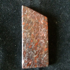 Dinosaur Bone freeform Cab