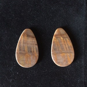 Petrified wood earring pair