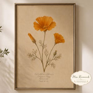 May include: A framed botanical print on a beige background featuring an orange California poppy flower with green stems and leaves. The text below the illustration reads Eschscholzia californica, California Poppy, Papaveraceae, Plate No. 47.