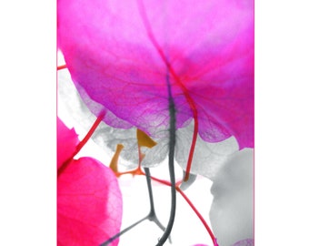 Garden_Pink - Digital Altered Photography JPEG Image Instant Download