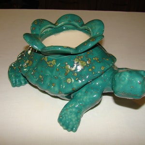 Tortoise Planter ( Mystic Jade )
