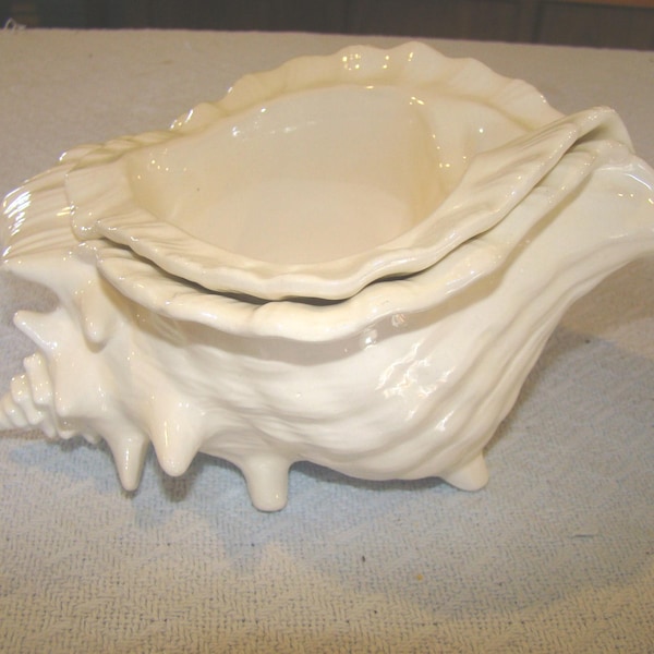 Conch Shell Violet Pot (White) Medium