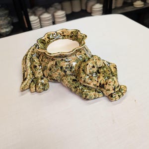 May include: A ceramic frog-shaped planter with a speckled green and brown glaze. The planter has a ruffled rim and a white interior. The frog is lying down, with its front legs extended.