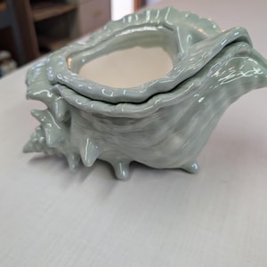 May include: A ceramic seashell-shaped container in a pale green hue. The container has a textured exterior and a smooth, off-white interior. The shell design features intricate details and a glossy finish, perfect for coastal decor.