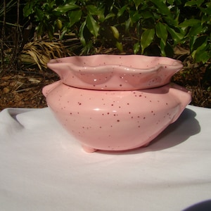 Small ruffle Violet Pot ( Spec. Pink-A-Boo)