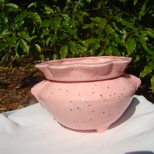 Large Ruffle Planter (Spec. Pink-A-Boo)