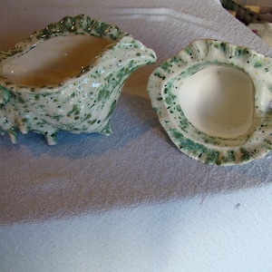 Conch Shell  (Small Herb Garden)