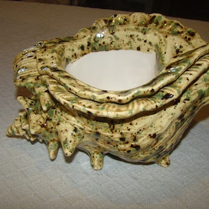 May include: A ceramic seashell-shaped decorative bowl. The bowl is cream-colored with green and brown speckled accents. The interior is white. The bowl has a textured surface and is designed with a detailed, naturalistic form.