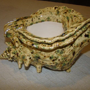 May include: A ceramic seashell-shaped planter with a cream-colored interior. The exterior is speckled with green and brown, and the edges are ruffled. The planter has a glossy finish and is suitable for home decor.