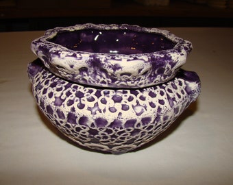 Purple Lace Violet Pot