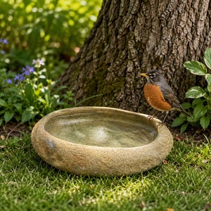 Può includere: Un bagno per uccelli rotondo in pietra con un esterno ruvido color marrone chiaro e una vasca poco profonda riempita d'acqua. Un pettirosso americano con testa grigio scuro, becco giallo e petto rosso-arancio è appollaiato sul bordo.