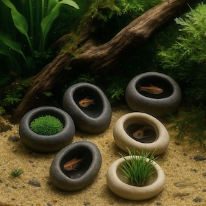 Mini River Stone Aquarium Plant Holder – Handmade Pebble Pot for Moss & Succulents | Unique Terrarium -  Aquascape Decor