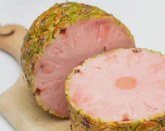 Semillas de piña Pinkglow – Rara planta frutal tropical rosa exótica