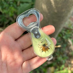 本物の昆虫標本入りボトルオープナー、樹脂封入カブトムシのコレクターズキーホルダー、自然からの贈り物