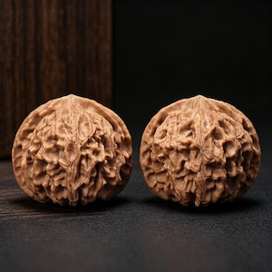 Puede incluir: Dos nueces marrones naturales con c&aacute;scaras profundamente texturizadas y arrugadas. Cada nuez presenta un patr&oacute;n complejo y distintivo de crestas y grietas en su superficie, mostrando un acabado mate de color marr&oacute;n claro y una forma redondeada.