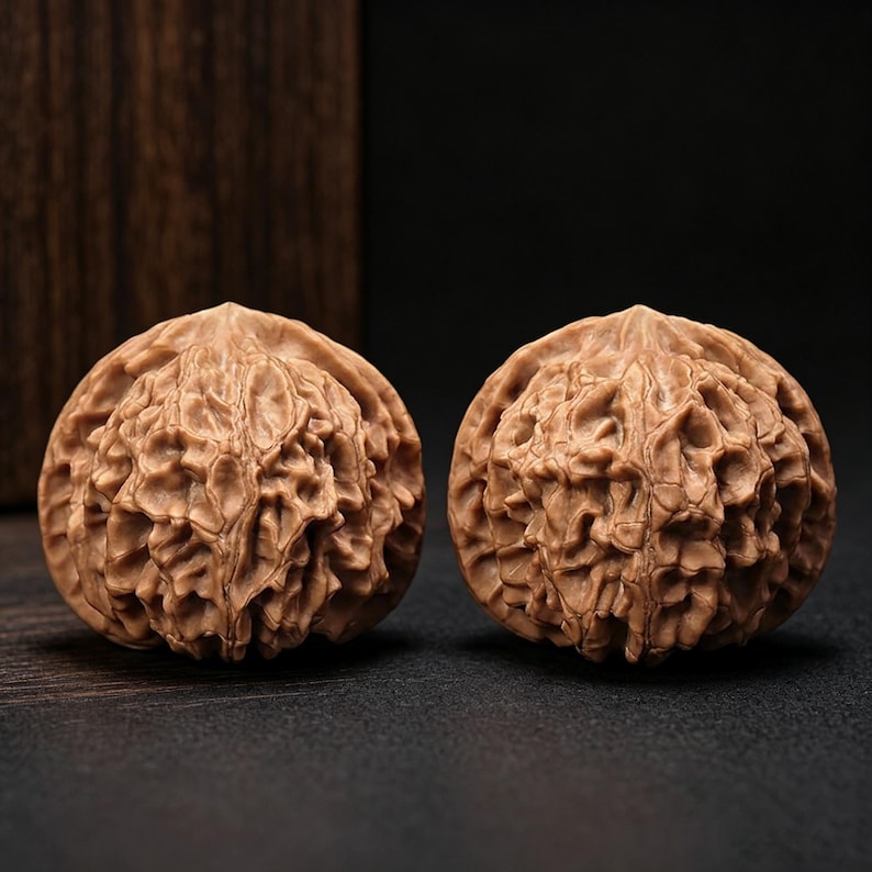 Puede incluir: Dos nueces marrones naturales con c&aacute;scaras profundamente texturizadas y arrugadas. Cada nuez presenta un patr&oacute;n complejo y distintivo de crestas y grietas en su superficie, mostrando un acabado mate de color marr&oacute;n claro y una forma redondeada.