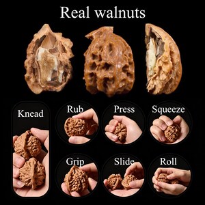 Puede incluir: Una muestra de nueces reales con tres nueces enteras o partidas en la parte superior y siete paneles circulares debajo que demuestran movimientos de mano etiquetados Knead, Rub, Press, Squeeze, Grip, Slide y Roll con c&aacute;scaras marrones.