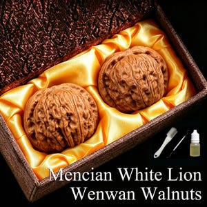 Noci Wenwan del Leone Bianco Menciano - Coppia da collezione, selezionate a mano, naturali non lucidate, multi-misura, antistress, decorazione da scrivania, meditazione