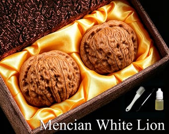 Puede incluir: Dos nueces Wenwan Mencian White Lion de color marrón con cáscaras profundamente texturizadas están colocadas dentro de una caja marrón forrada con tela de satén dorada. Se incluyen un cepillo de limpieza blanco, un punzón y un frasco de aceite.