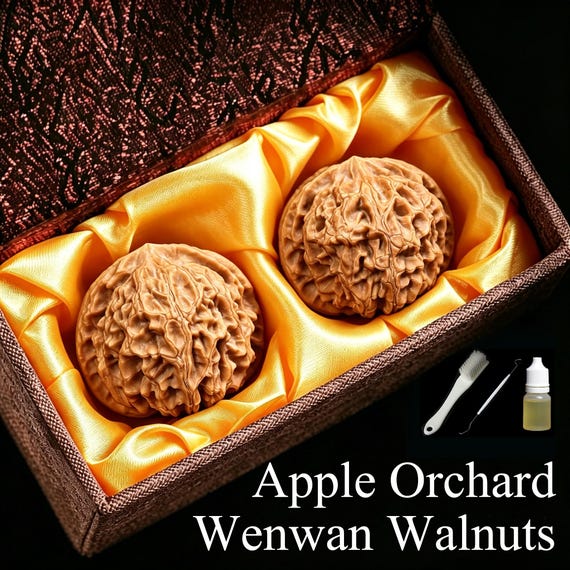 Apple Orchard Wenwan Walnuts-Collectible Pair,Hand-Picked Natural Unpolished,Multi-Size Stress Relief Fidget Toy,Meditation Accessory