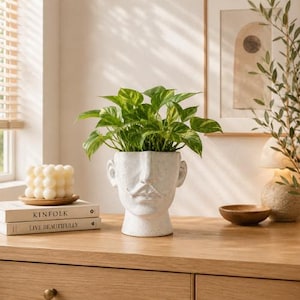 Face Planter Pot, Mustache Head Planter, Funny Resin Succulent Pot, Indoor Plant Holder, Modern Face Flower Pot, Home Decor Gift