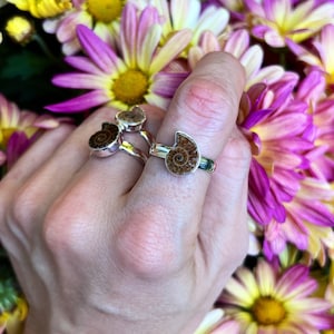 Puede incluir: Dos anillos de plata con piedras de amonita fosilizadas. Los anillos están en una mano con un fondo de flores rosas y amarillas.