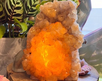 1. XL GOLDEN AMETHYST Lamp // citrine //   8+lbs    - free bulb & cord - Free shipping