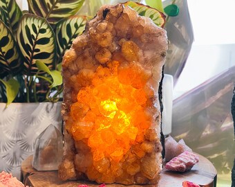 2. XL GOLDEN AMETHYST Lamp // citrine //   8+lbs    - free bulb & cord - Free shipping