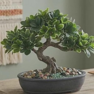 May include: A small artificial bonsai tree with dense, variegated green leaves and a textured brown trunk. The tree is planted in a shallow, dark gray oval pot filled with a layer of smooth, multicolored river stones and small green pebbles.