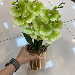 Könnte beinhalten: Eine künstliche Orchideenpflanze mit leuchtend lindgrünen Blütenblättern, weißer Äderung und gelben Zentren. Die Pflanze steht in einem zylindrischen, roségoldenen Metallbehälter, der an der Basis mit kleinen Zierkieseln gefüllt ist.