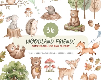 Woodland Friends Clipart Set - Watercolour Forest Animal Illustrations - Commercial Use