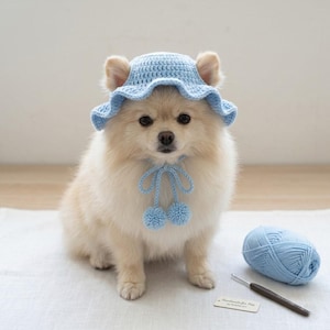 May include: A light blue crocheted pet hat with a ruffled brim and two dangling pom-poms attached by braided ties. The hat is worn by a small, cream-colored fluffy dog. A ball of matching light blue yarn and a metal crochet hook are nearby.