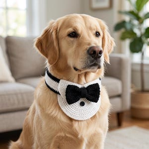 May include: A golden retriever wearing a crocheted pet accessory featuring a white collar with a black trim, a black bow tie, and a single small black button centered on the front. The accessory is designed to resemble a formal tuxedo shirt front.