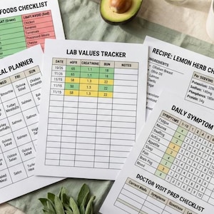 Kidney Disease Wellness Kit Printable PDF, Complete CKD Renal Diet Bundle, Symptom Tracker Meal Planner Recipe Guide Instant Download