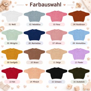 May include: A color chart titled Farbauswahl displaying sixteen long-sleeve sweaters in various solid colors including white, blue, pink, rust, mint, navy, rose, sky blue, mustard, brown, beige, lilac, red, peach, black, and dark olive.