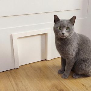 以下が含まれることがあります： 緑色の目を 가진灰色の猫が、白いドアに組み込まれた白い猫のドアの隣の木製の床に座っています。猫はカメラを直接見ています。
