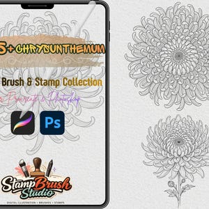 May include: Digital art collection with chrysanthemum designs. The image shows a tablet displaying the text "265+ CHRYSANTHEMUM Digital Brush & Stamp Collection" with Procreate and Photoshop logos, and a logo for Stamp Brush Studio. Two detailed chrysanthemum illustrations are also shown.