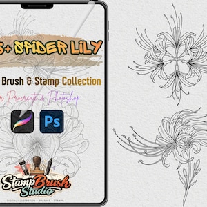 Pode incluir: Uma coleção de arte digital exibida em um tablet, com um design floral e o texto "265+ SPIDER LILY". A coleção inclui pincéis e carimbos digitais para Procreate e Photoshop, com o logotipo Stamp Brush Studio.
