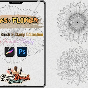 May include: A digital art collection displayed on a tablet, featuring a sunflower and a chrysanthemum. The tablet screen shows the text "265+ FLOWER Digital Brush & Stamp Collection" and logos for Procreate and Photoshop, along with the Stamp Brush Studio logo.