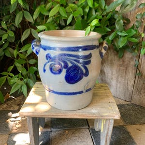 Peut inclure: Un pot en céramique blanc cassé vintage, orné de motifs floraux bleus et de deux petites poignées. Le pot est posé sur un petit tabouret en bois vieilli. Le fond présente un feuillage vert luxuriant et un mur en bois.